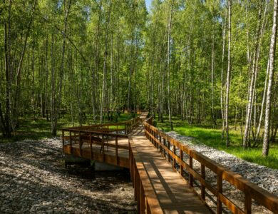 grabskiego-park-28-04-nieruchomosci-fotograf-0350