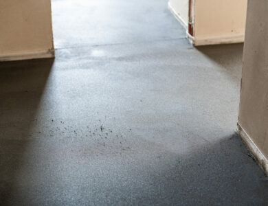 grabskiego__listopad_2025-00973